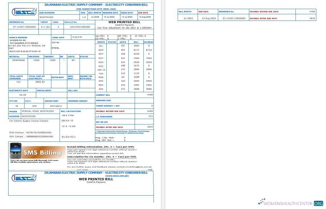 Download PAKISTAN IESC business utility bill Word and PDF template Photoshop template